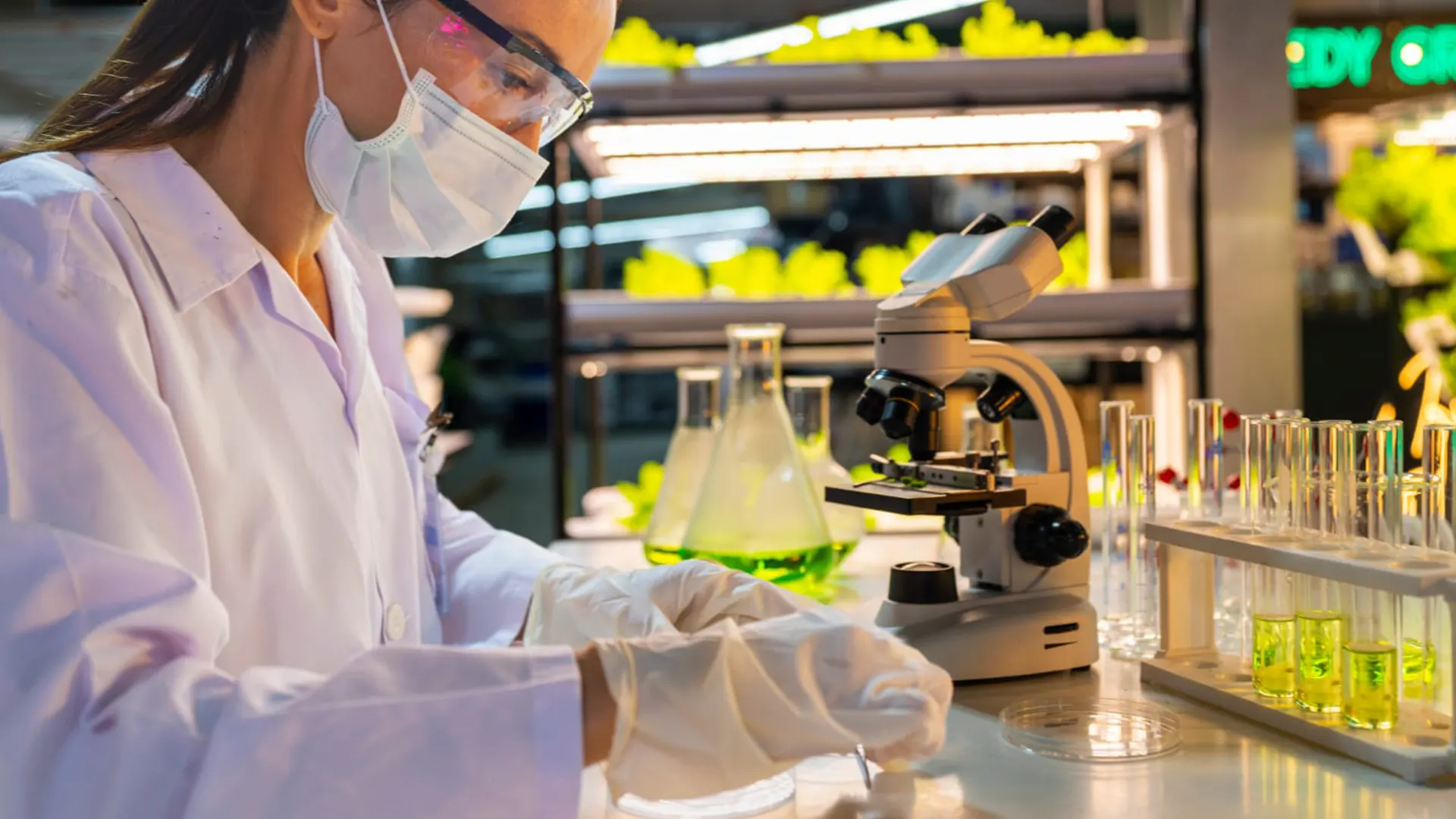 A scientist analyzes plant samples in a laboratory. Advanced tools support the study of plant health, nutrient absorption, and sustainable agricultural solutions to improve yields and reduce environmental impact.